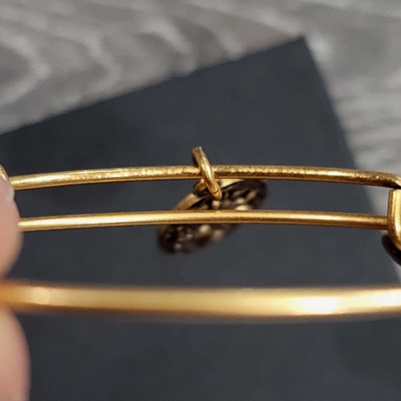 Alex and Ani Because I Love You Friend II Charm Bracelet - Picture 13 of 13